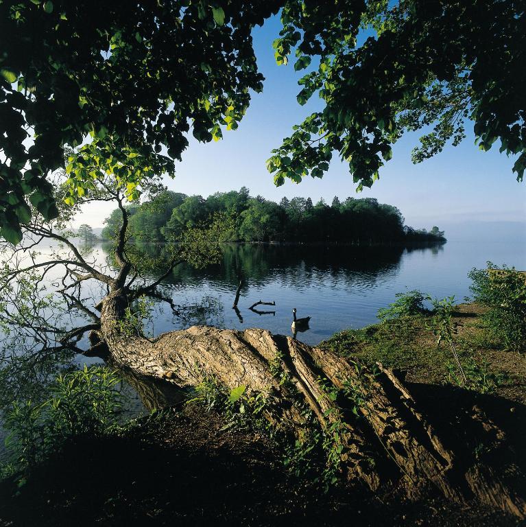 Hotel Residence Starnberger See Feldafing Zewnętrze zdjęcie